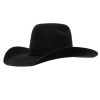 Resistol USTRC Big Money 10X Straw Cowboy Hat Exquisite Gifts